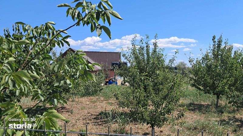 Vand loturi de teren  Extravilan   Sat Costi - Imagine principală: 4/8