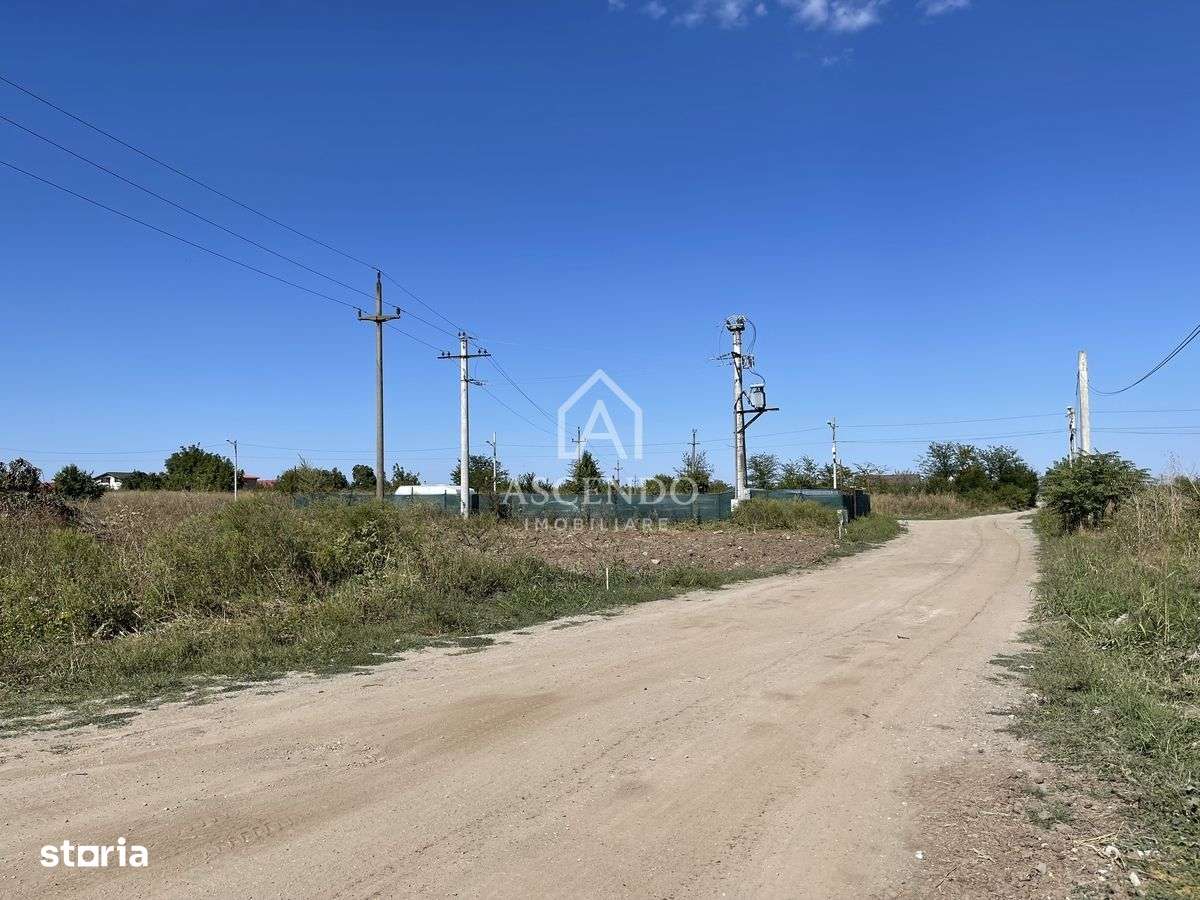 Teren Intravilan 3.000 mp Jilava  Investiție sau Rezidențial - Imagine principală: 3/4