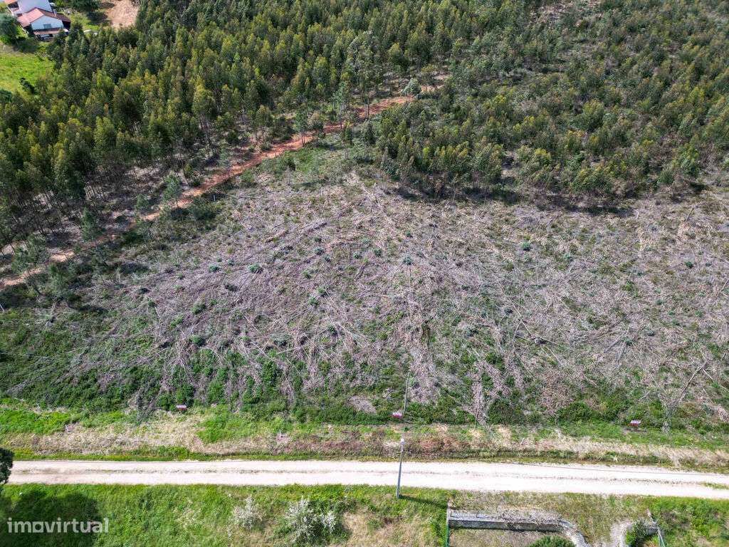 Venda Terreno - Grande imagem: 3/23