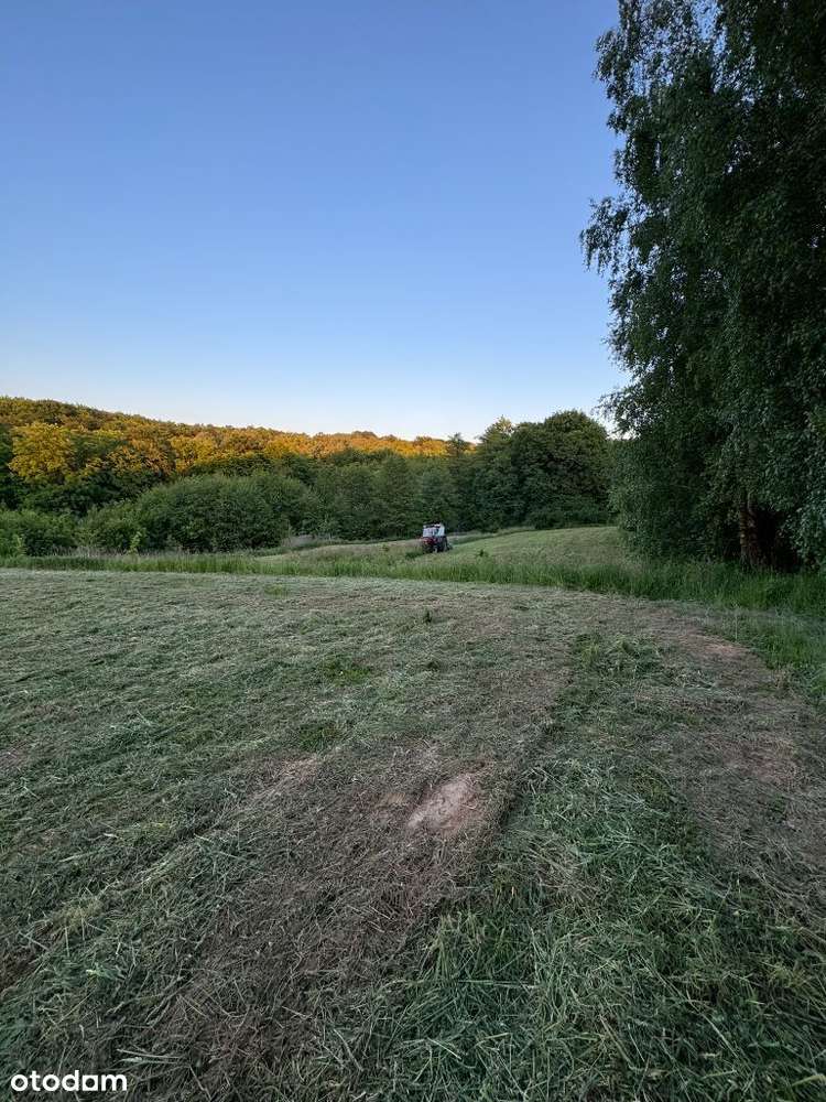 Działka o pow.1 ha - ul. Św.Marcina - Okazja!-7