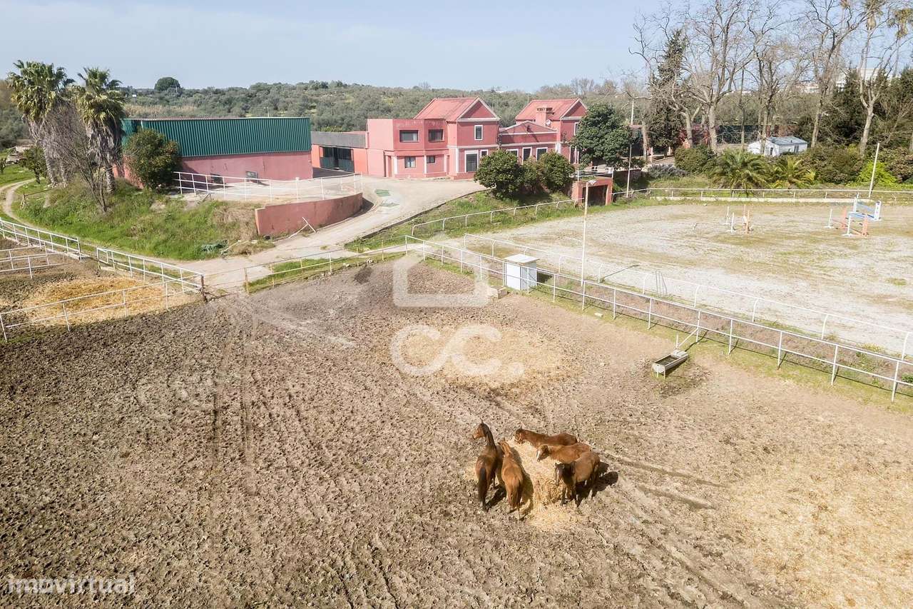 Palacete de inspiração neoclássica francesa com jardim botânico de Jea-9