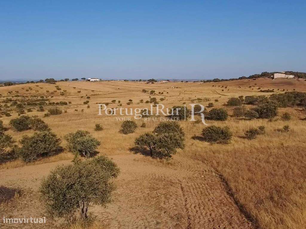 Terreno urbano com 8 ha e vista para o Castelo de Monsaraz, Alentejo - Grande imagem: 2/3