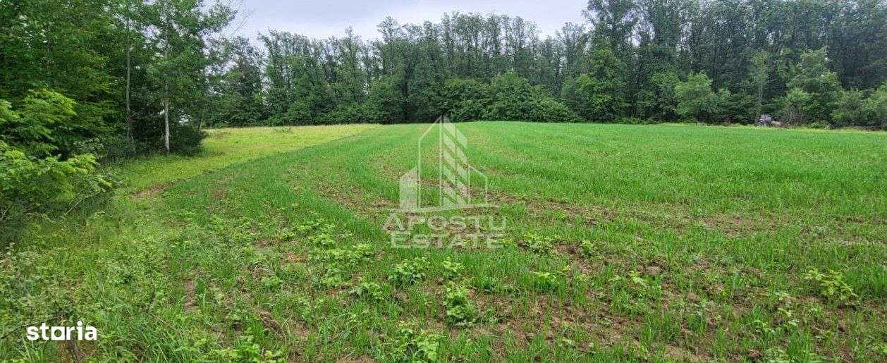 Teren mixt de 8.600 mp, ideal pentru investitie, Cuied - Imagine principală: 3/4