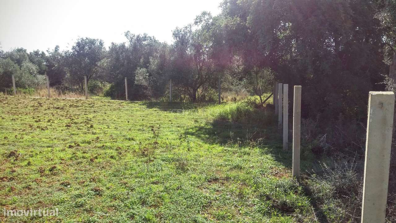 Terreno com Ruína em Moncarapacho - Grande imagem: 5/12