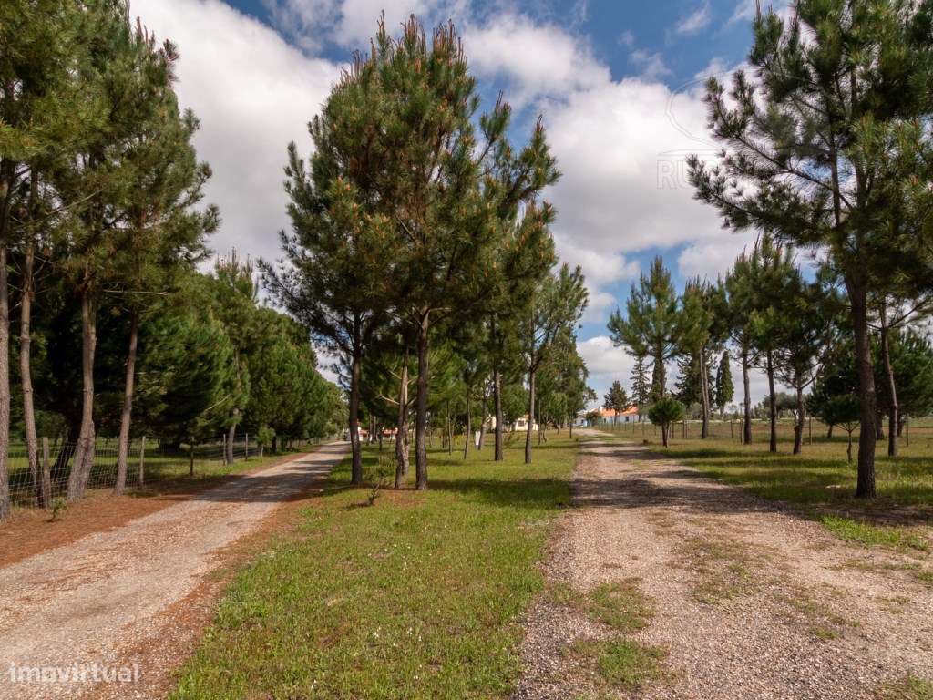 Herdade com 37 Ha com 6 Moradias para Habitação e/ou Turismo | Alcá...-31