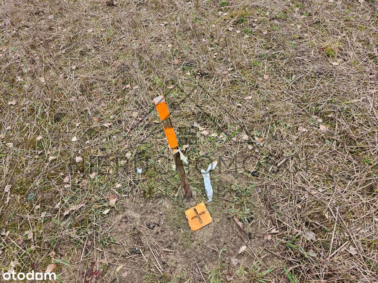 Działka budowlana w Łomnicy-11