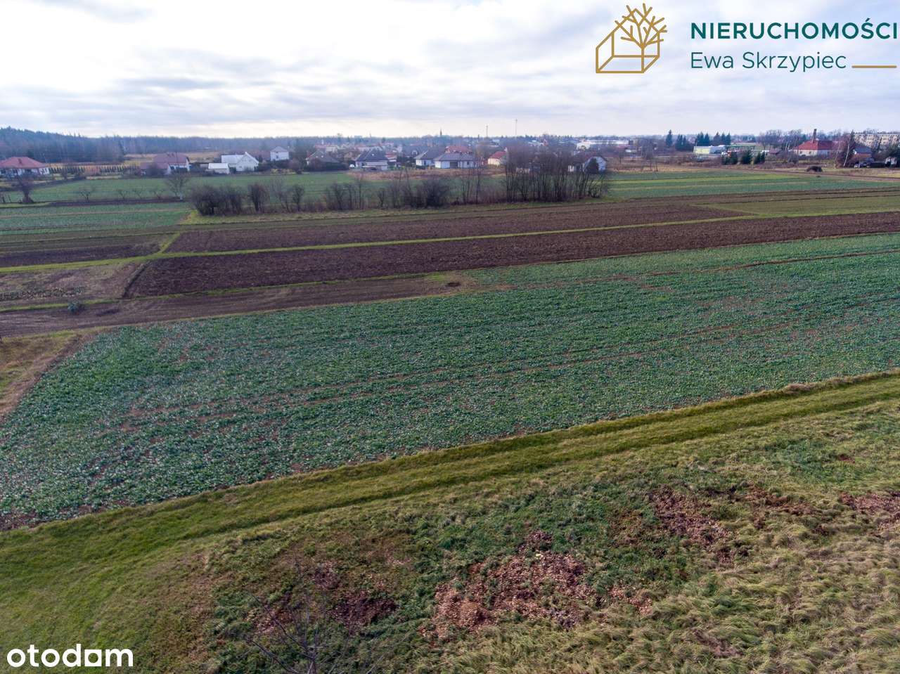 Działka WZ zagrodowymi w Maliniu koło Mielca, powierzchnia 0,1515 ha - Pełny obrazek: 4/13