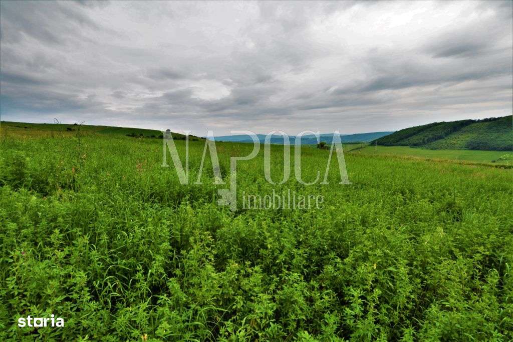 Teren extravilan pentru constructii de vanzare in Popesti - Imagine principală: 2/5