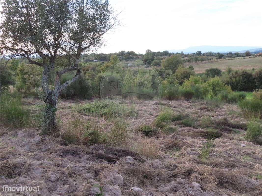 Quinta T0 para venda - Grande imagem: 4/26