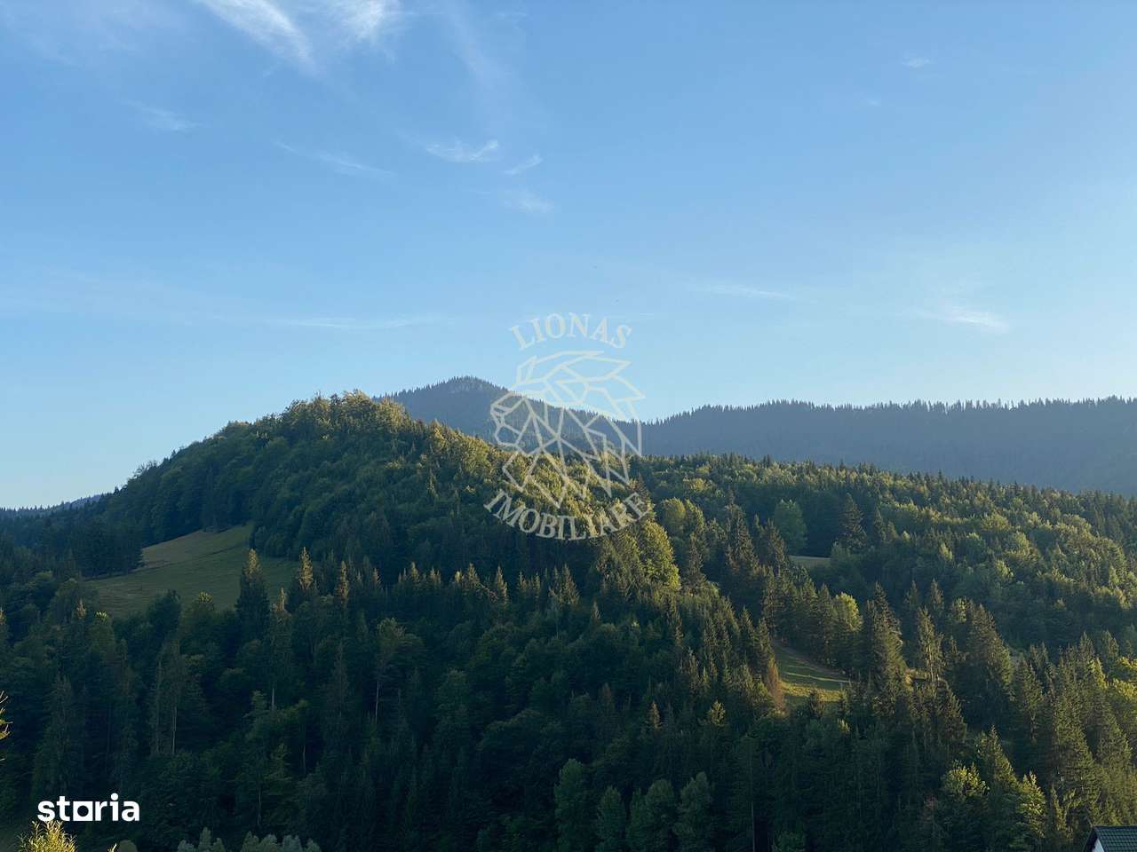 Teren Intravilan 1000mp-panorama-oportunitate investitie-Colibita - Imagine principală: 4/8