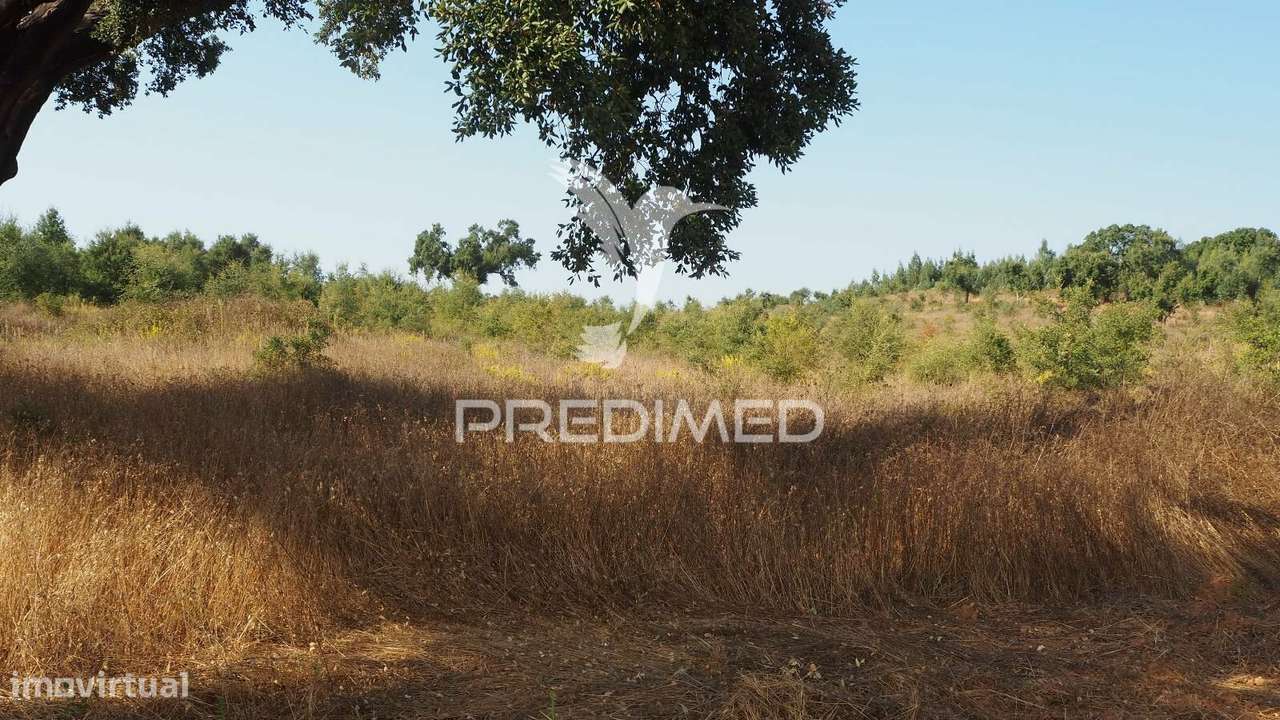 Terreno com 31 000 m2,Cercal,Santiago do Cacém. - Grande imagem: 4/6
