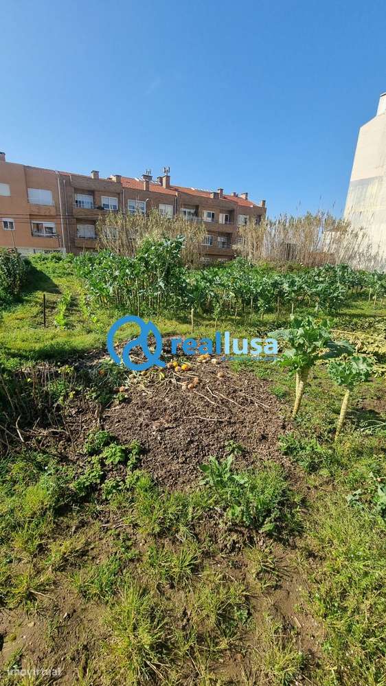 Terreno para construção em altura em Espinho-12