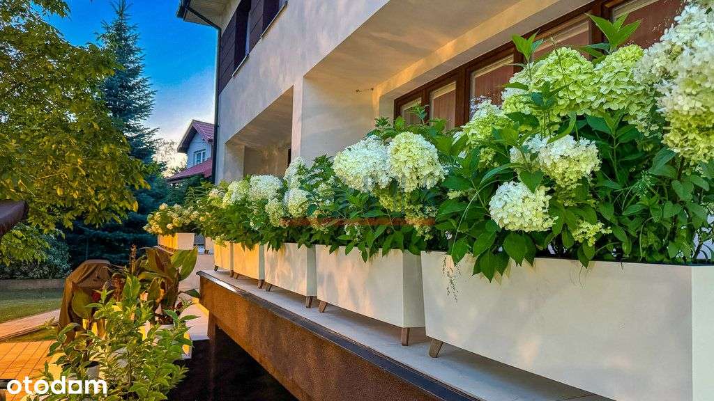 Piaseczno Pomorska - 2 połówki bliźniaka-7