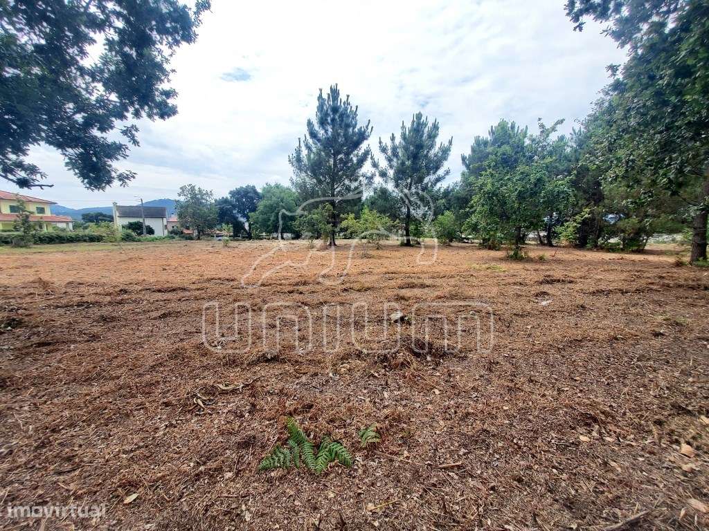 TERRENO - Cardielos, Viana do Castelo - Grande imagem: 4/7