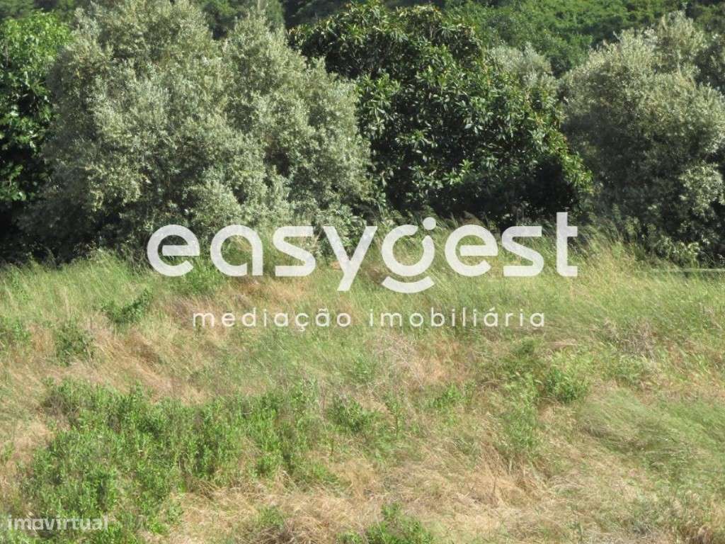 Terreno urbano 511m2 - Tomar - Grande imagem: 3/13