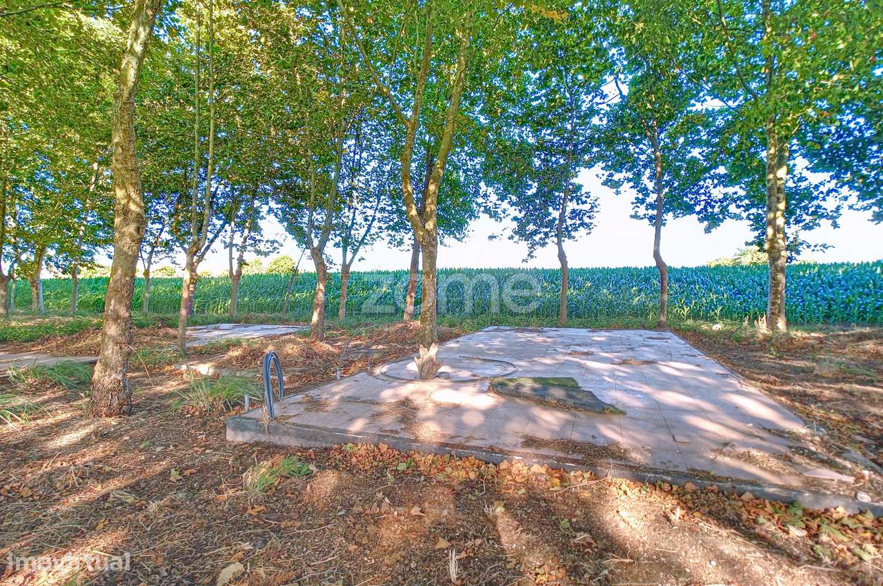 Quinta em Aveiro - Grande imagem: 4/19