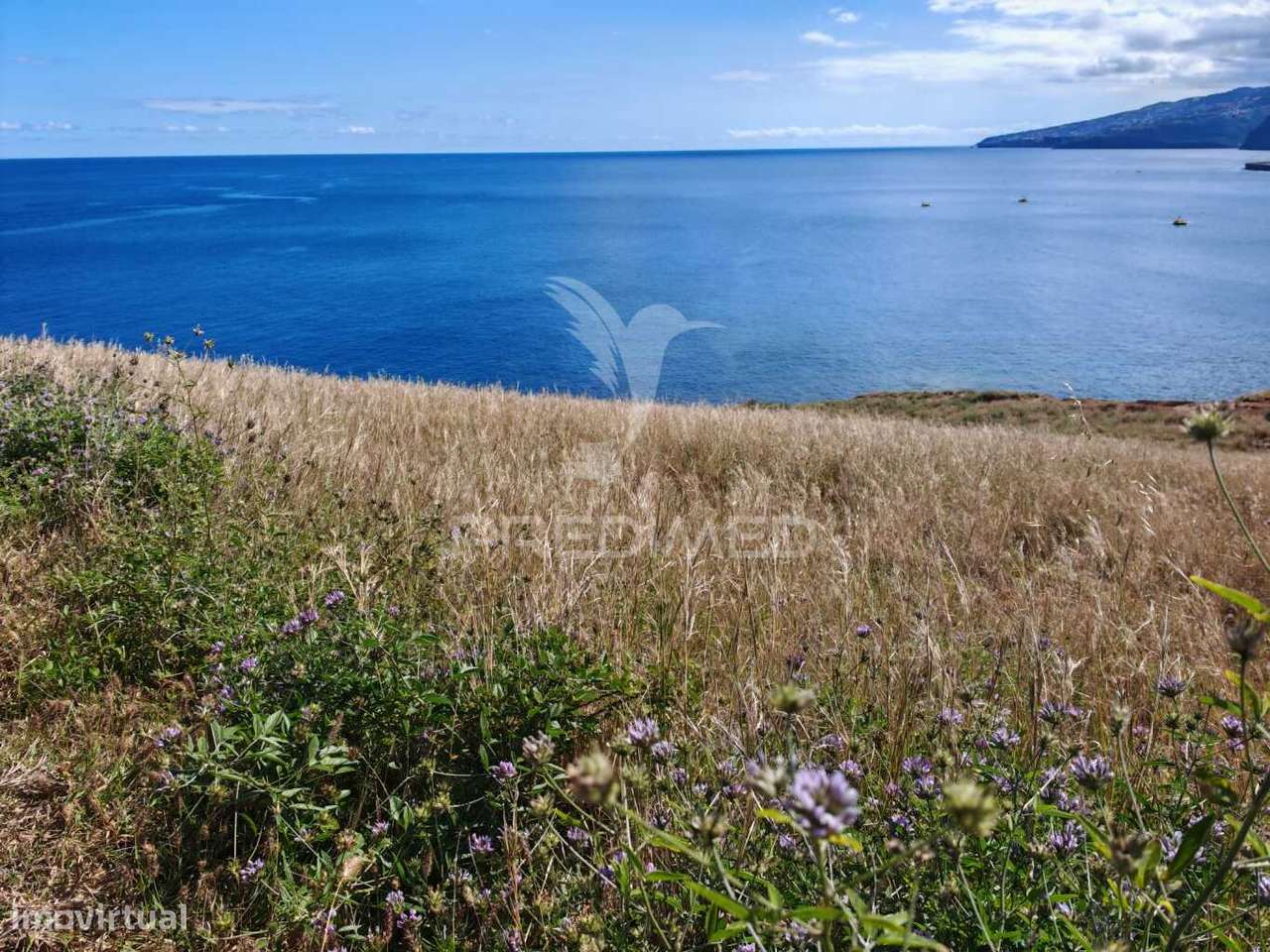 Terreno Com Vista Mar Na Prestigiada Zona da Rochinha, Caniçal - Grande imagem: 4/12