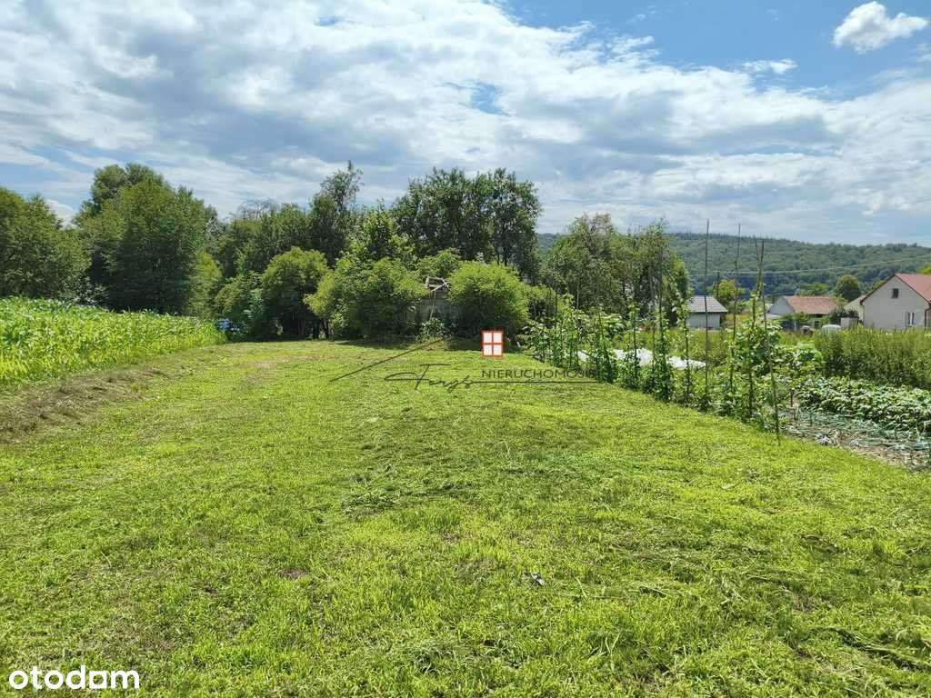 Ruszelczyce, Krzywcza działka budowlana 19 ara - Pełny obrazek: 4/20