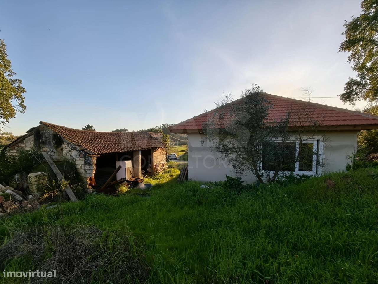 Moradia T2+1 c/ Anexo & Armazém em Lote de 7.600m2-31