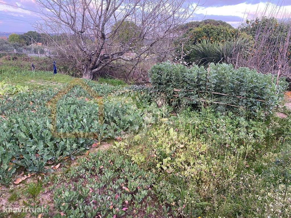 Terreno na estrada entre a vila e aldeia - 1950m2 - 60 000€ - Grande imagem: 4/20