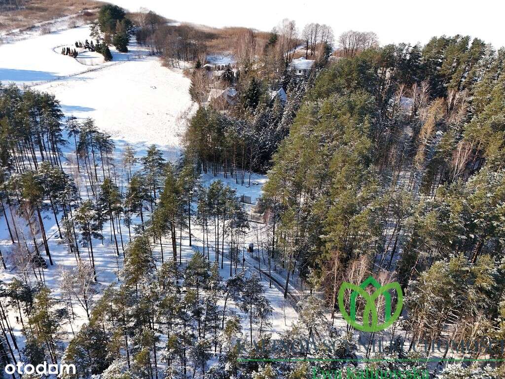 Wyjątkowa działka w Sajenku-1