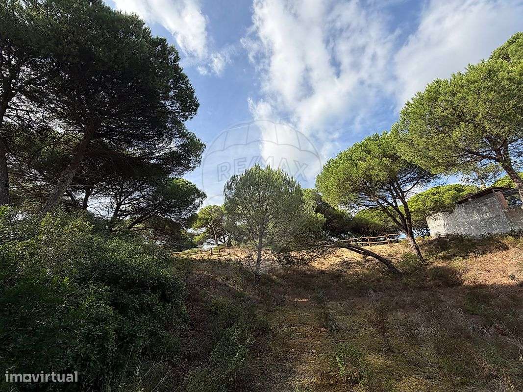 Terreno  para venda-9