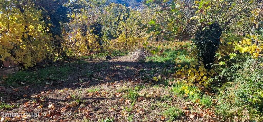 Terrenos Rústicos - Cantelães - Grande imagem: 5/9