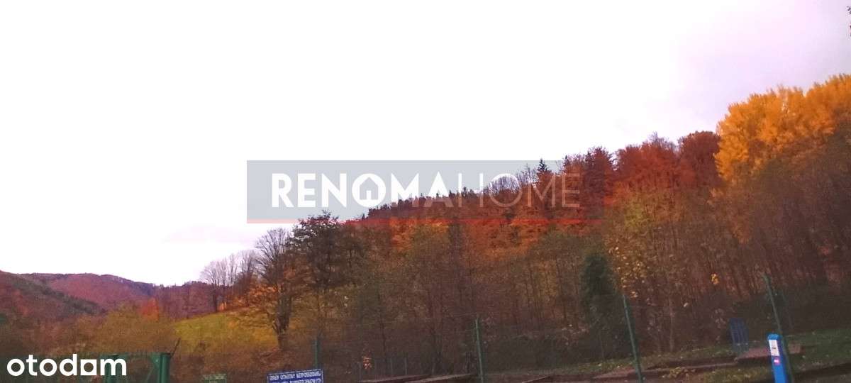 Działka budowlana w Kamionkach - Pełny obrazek: 5/5