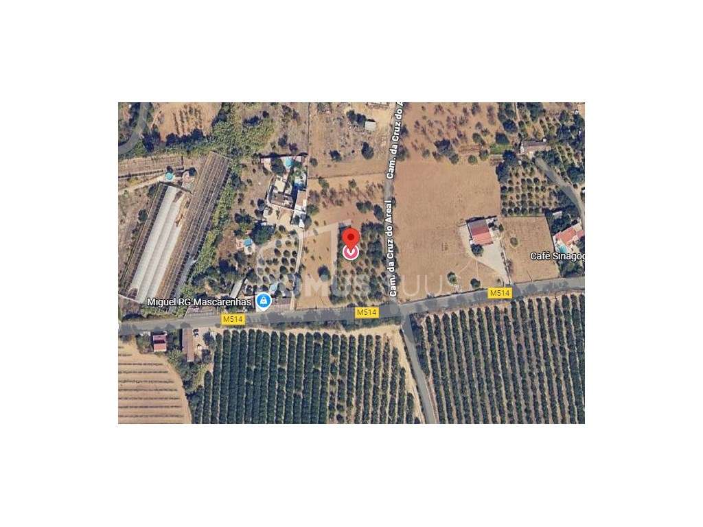 Terreno com 4200m totalmente plano com ótimas acessibilidades-5