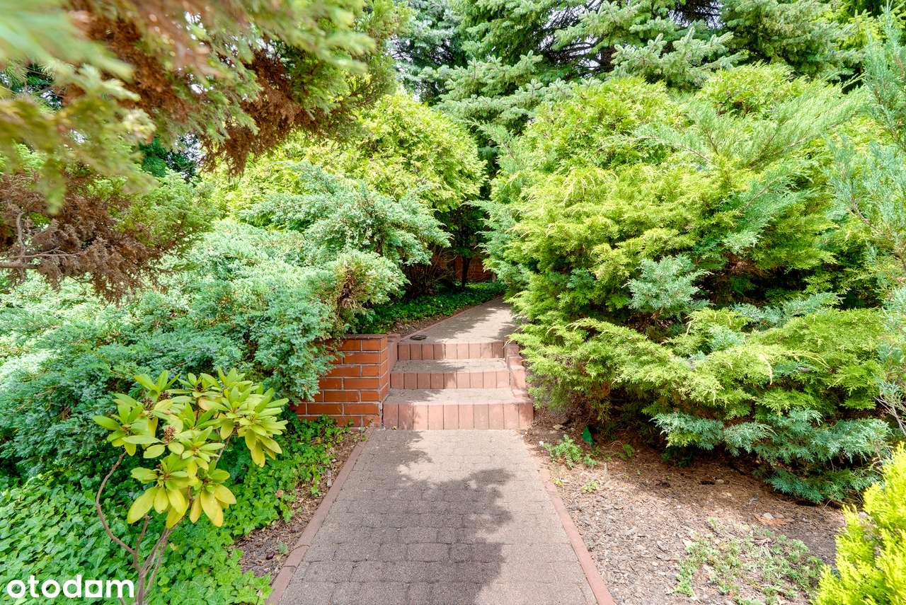 3-poziomowy dom z tarasem, 2 garażami i dużym ogrodem do aranżacji-6