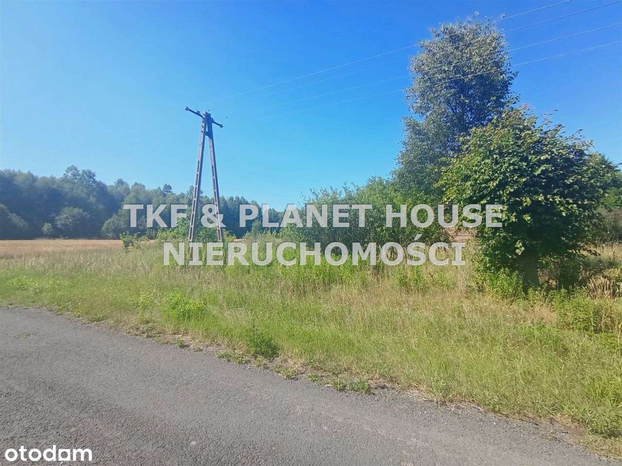 Sprzedane Działka 3711 m2 Młoszów gm. Wolbórz - Pełny obrazek: 3/3