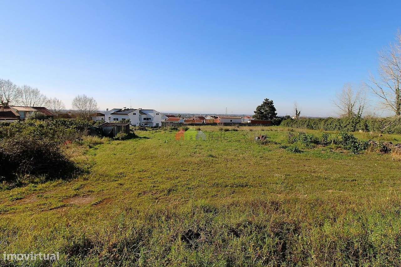 Terreno Rústico de 5.005m2 na Quinta das Façalvas - Palmela - Grande imagem: 5/23