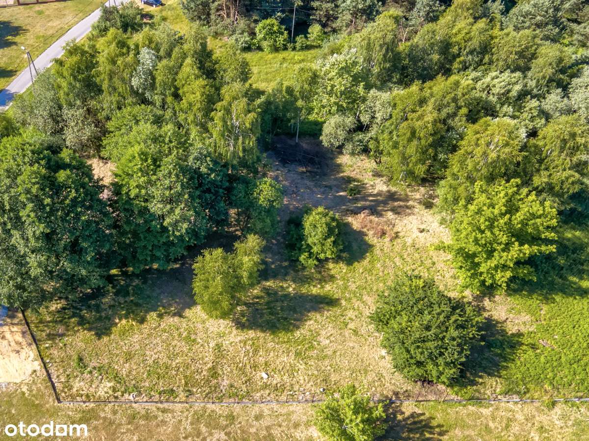 Duża działka, w dobrej cenie , bez prowizji. - Pełny obrazek: 5/10