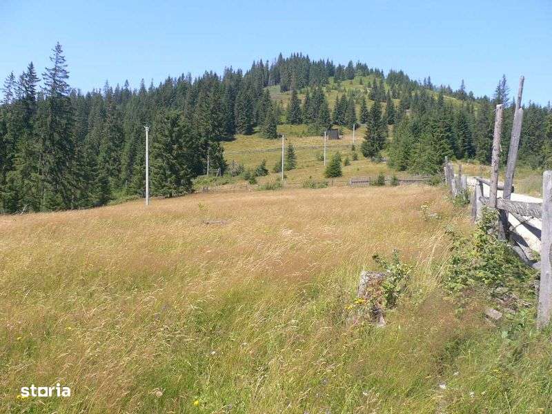 Teren de vânzare in Mestecăniș. Locație superba. - Imagine principală: 4/7