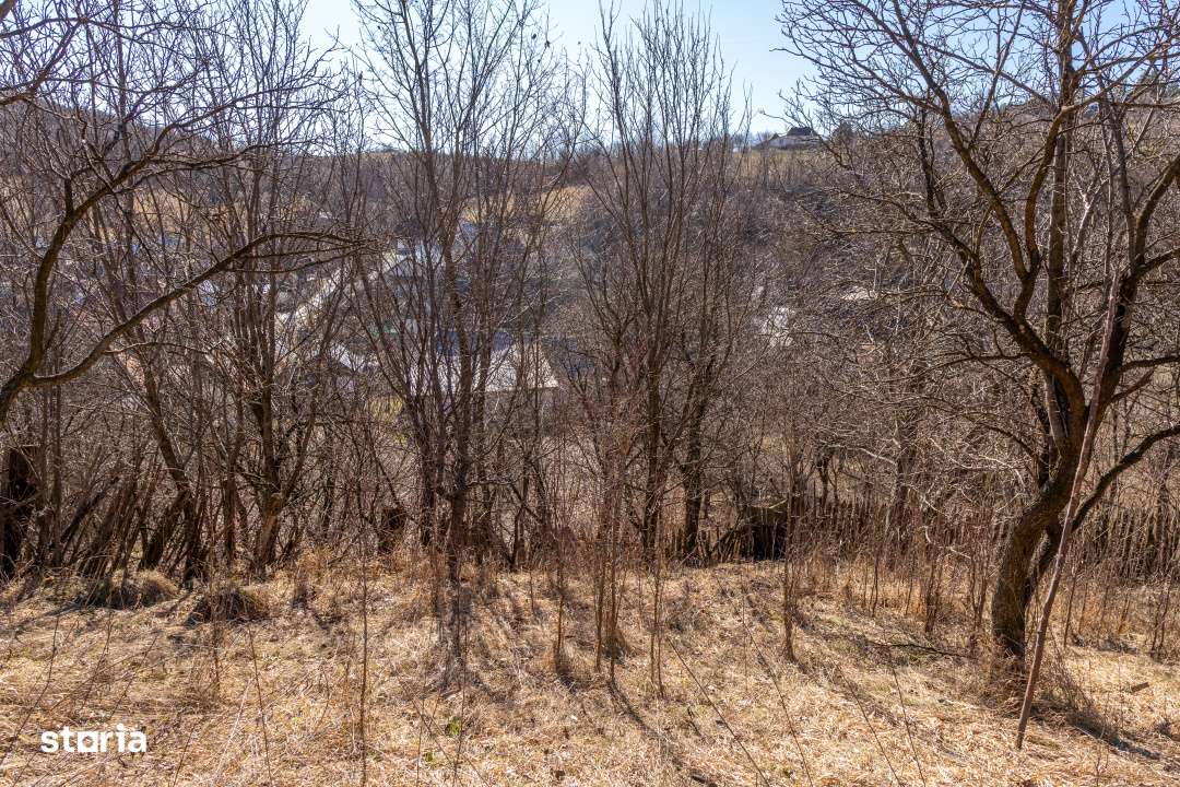 Ai plecat din Solont, dar terenul asta de 1737mp te cheama inapoi-7