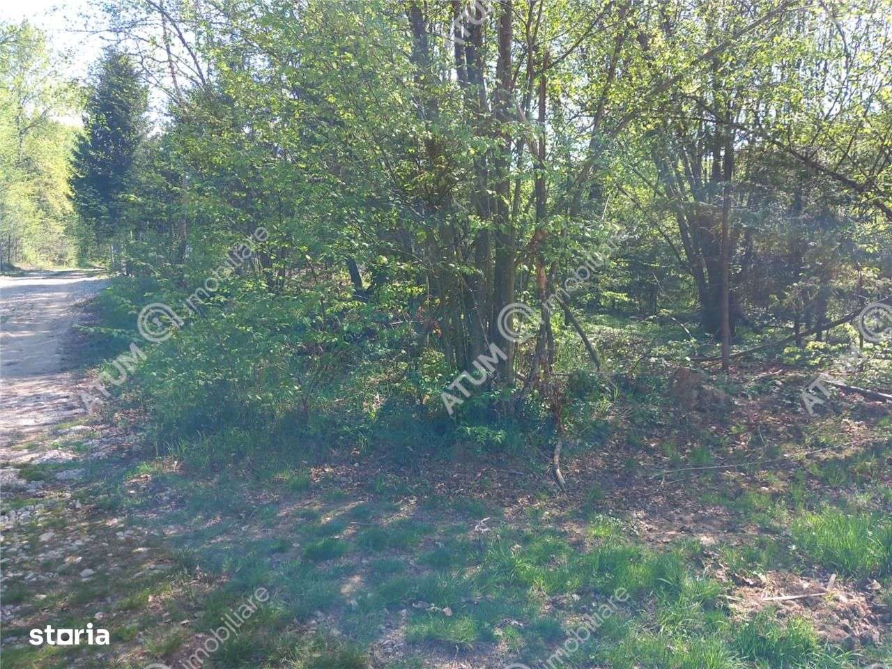 Teren intravilan 1300 mp de vanzare pe Valea Avrigului in zona Mlaci - Imagine principală: 3/3