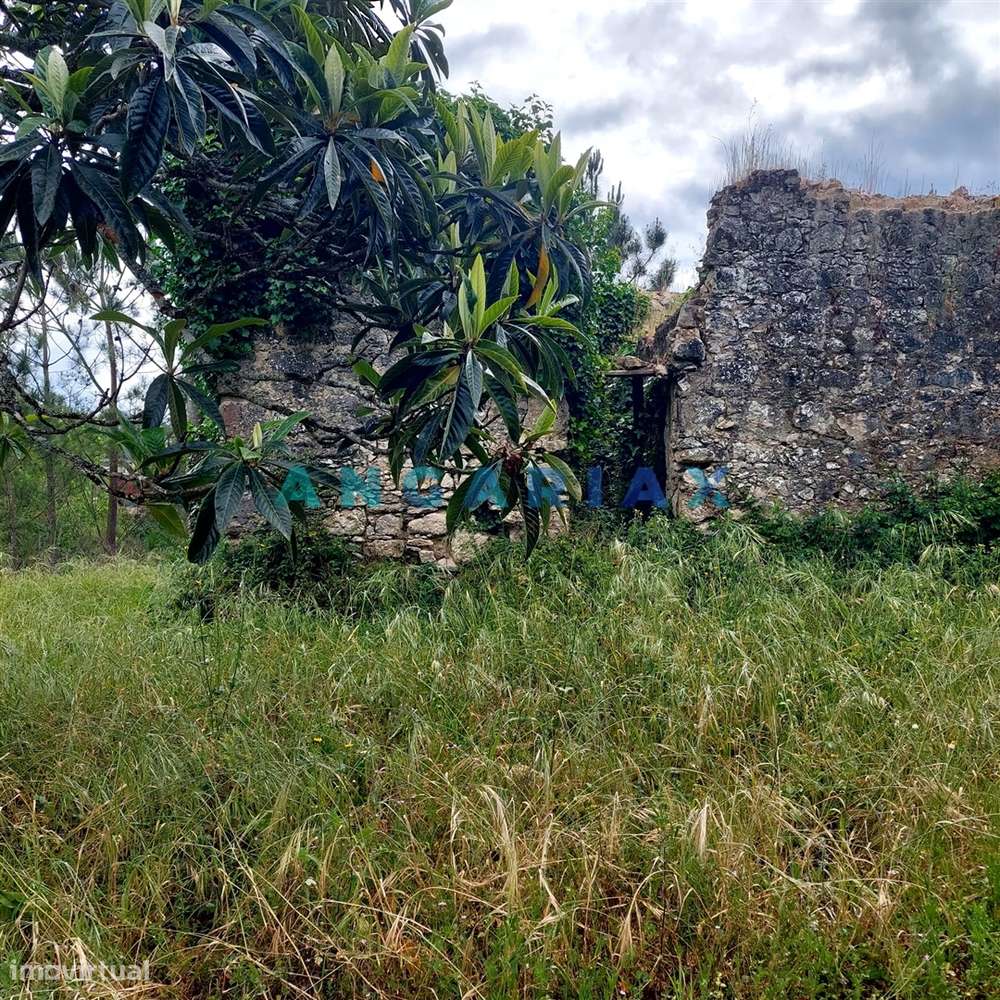 ANG1121 - Ruína para Venda em Cantanhede, Coimbra - Grande imagem: 5/19