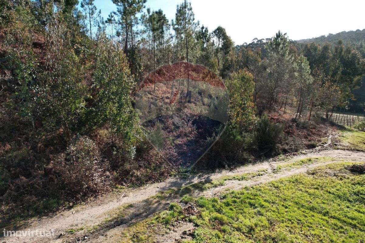 Terreno  para venda - Grande imagem: 5/7