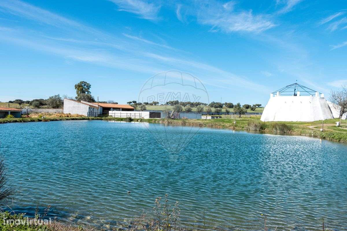 Quinta T7 para venda - Grande imagem: 4/37