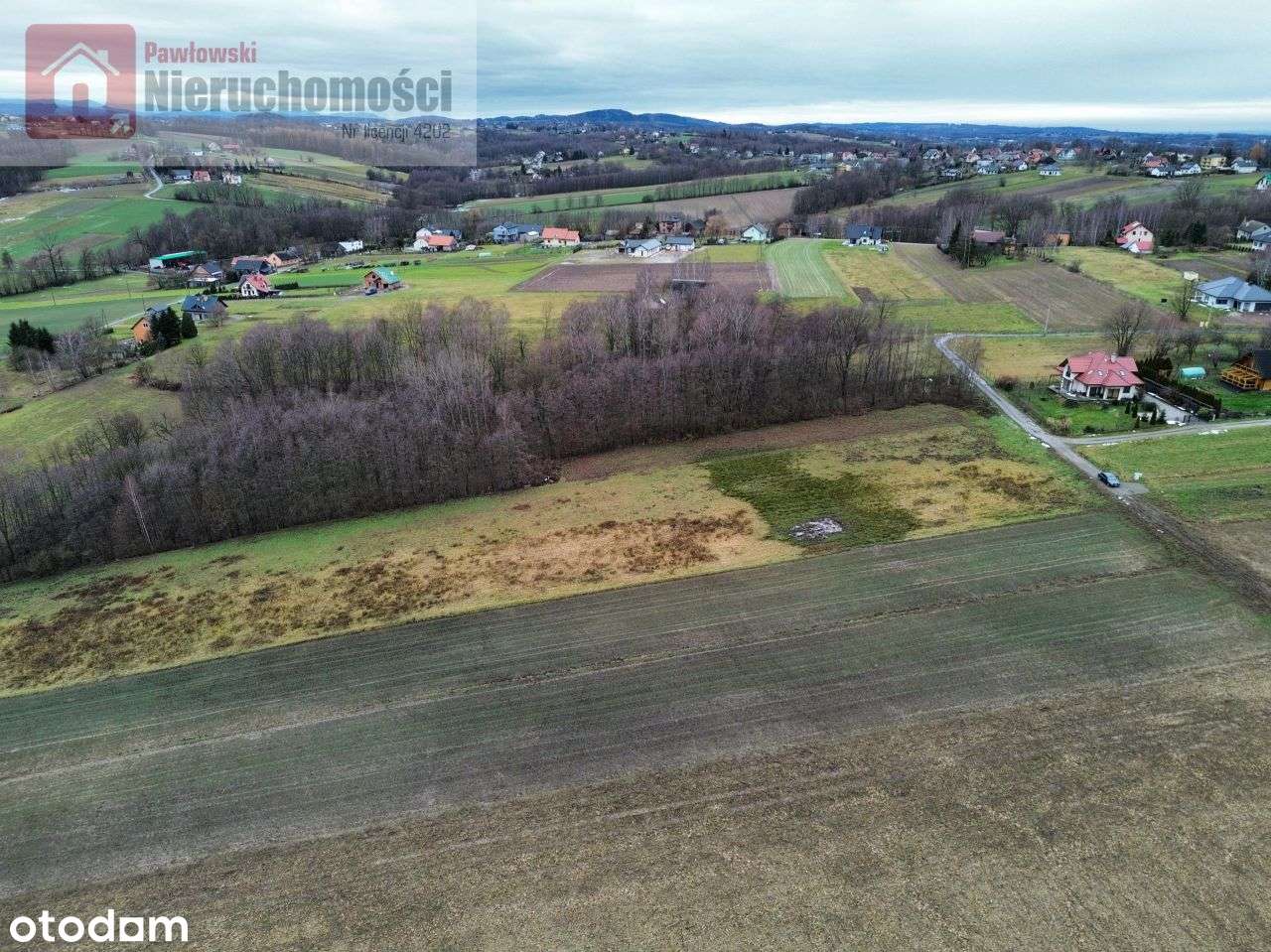 Działka, 6 000 m², Grabie-7