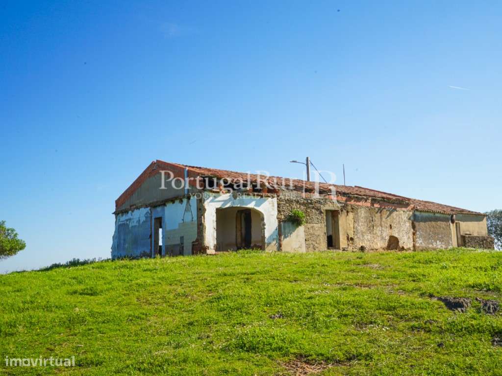 Herdade de 30ha junto à barragem, em Ourique - Grande imagem: 4/23