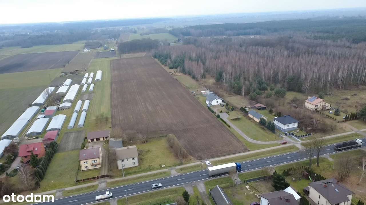 Podzagajnik działka 3.32 ha, szer. 80m, 40 zł/m2 przy DK12 - Pełny obrazek: 2/17