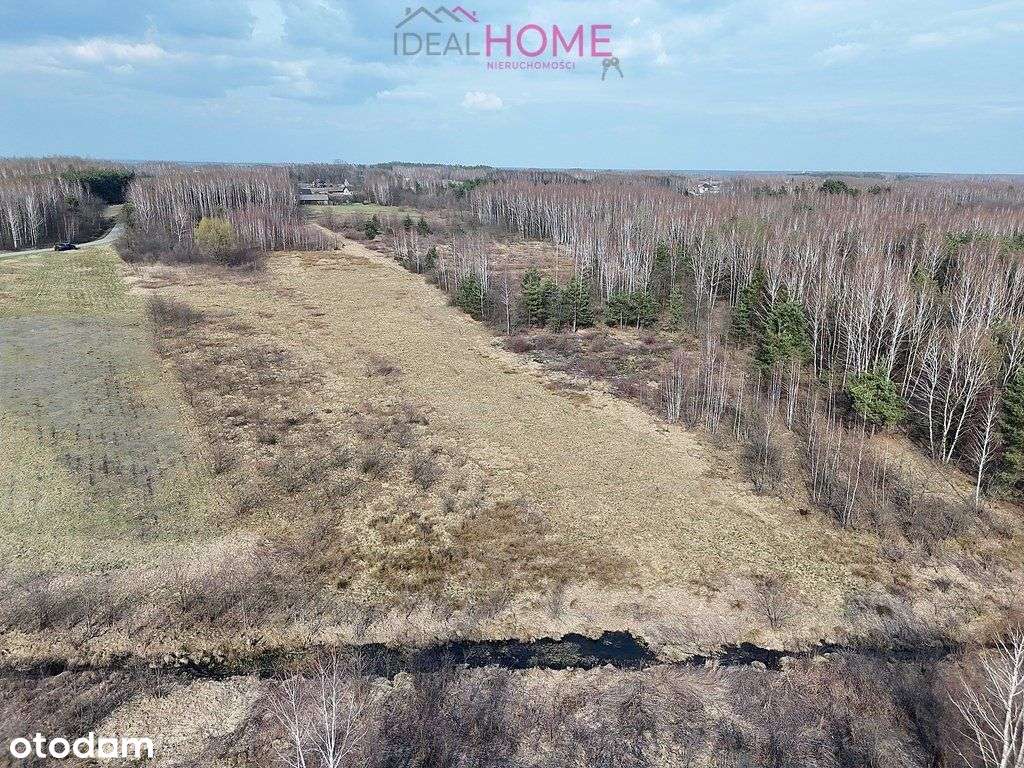 Sprzedam działkę 3,53ha - Krzątka obok Nowej Dęby - Pełny obrazek: 3/16