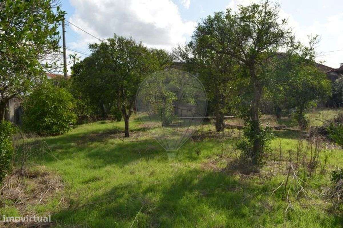 Terreno  para venda-12