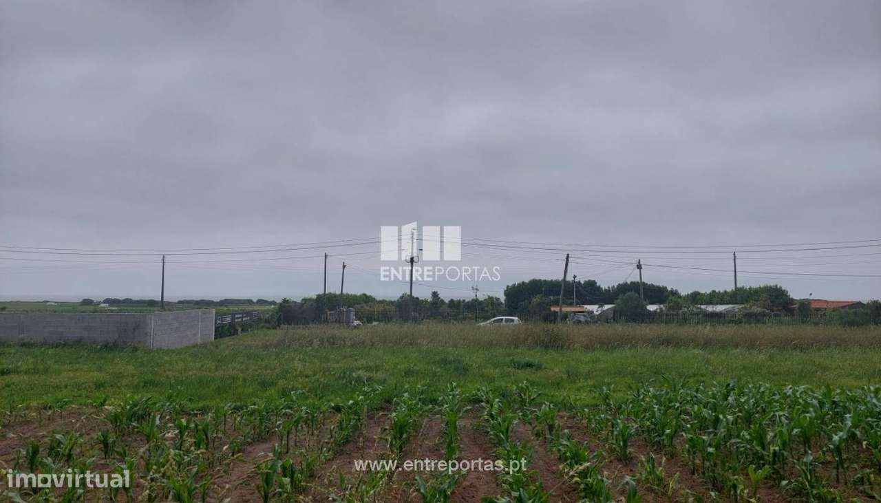 Venda de Terreno de construção, Carreço, Viana do Castelo. - Grande imagem: 2/25