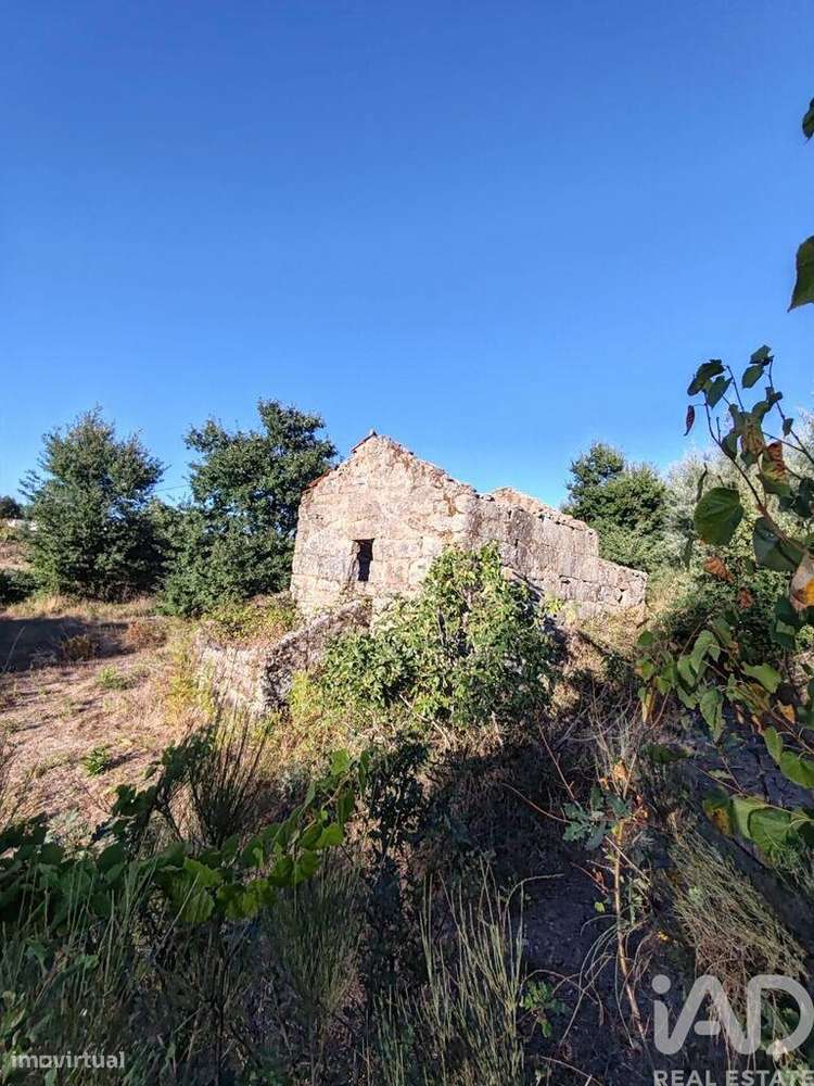 Terreno Agrícola em Seixo da Beira de 31075,00 m2 - Grande imagem: 4/12