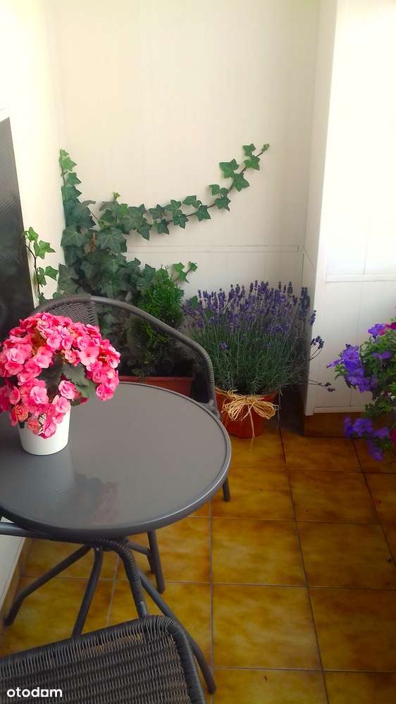 Mieszkanie, 136,10 m², Legnica-9