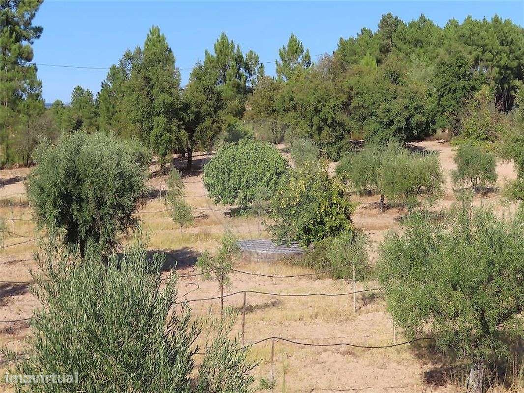 Moradia T3 para venda-38