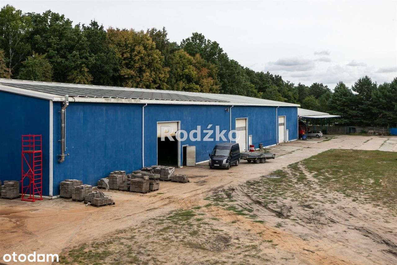 Hala/Magazyn, 1 500 m², Kruszyn - Pełny obrazek: 5/20
