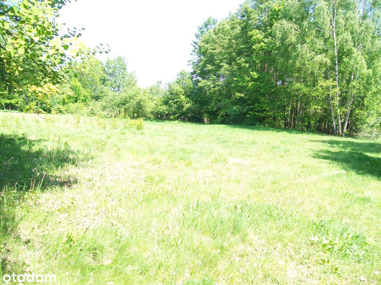 Zrębice gm.Olsztyn 0,375.ha , 1.2ha-6